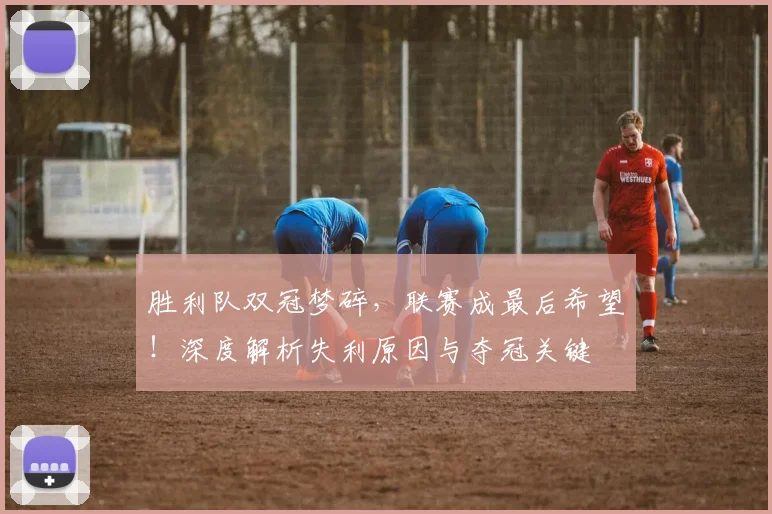 胜利队双冠梦碎，联赛成最后希望！深度解析失利原因与夺冠关键