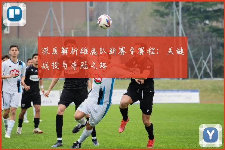 深度解析雄鹿队新赛季赛程:关键战役与夺冠之路