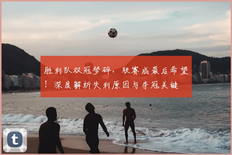 胜利队双冠梦碎，联赛成最后希望！深度解析失利原因与夺冠关键